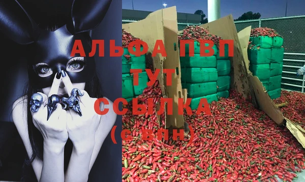 стафф Волоколамск
